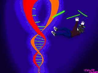 The DNA ladder.